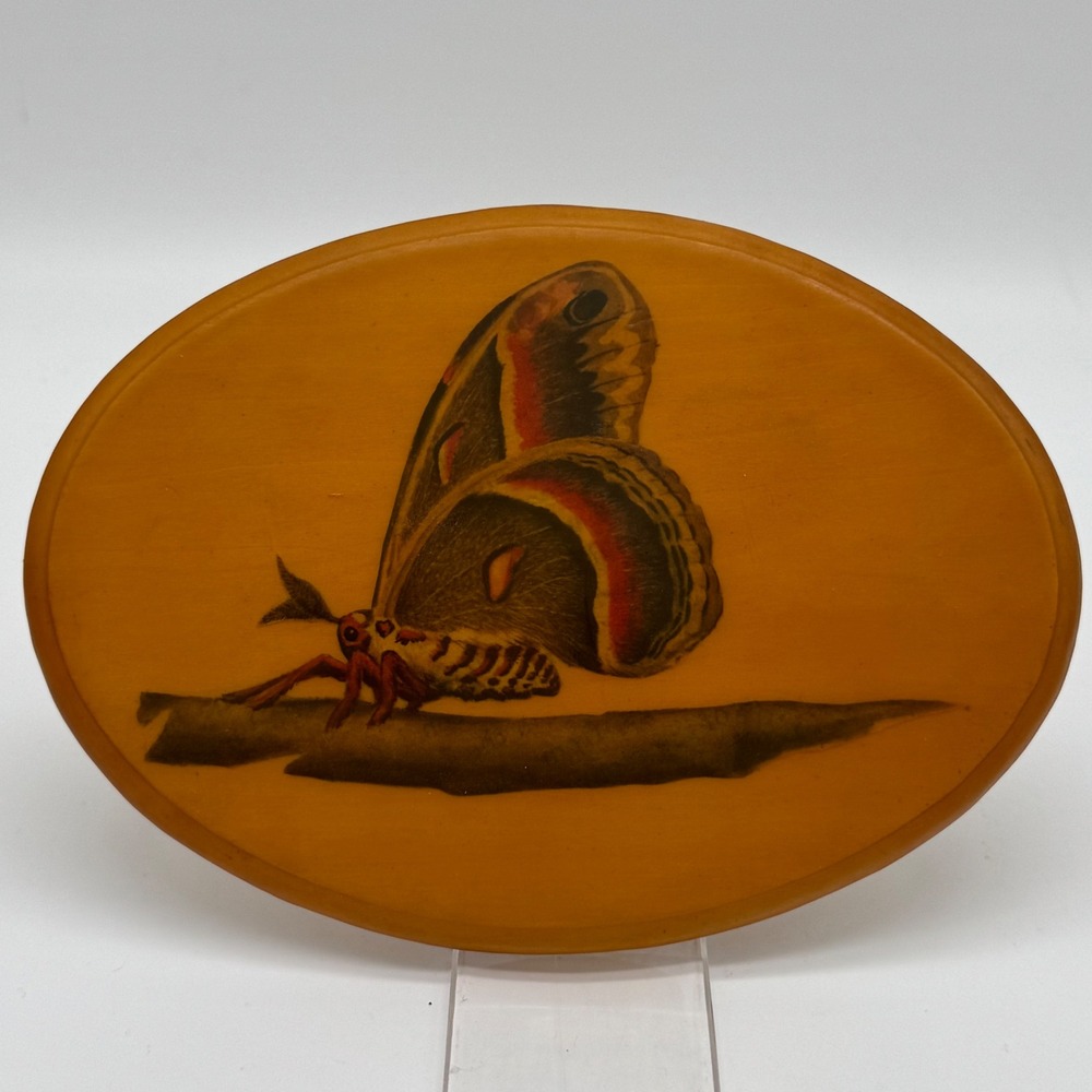 Vintage Cottagecore Moth Wood Wall Plaque 7x5 Oval Decoupage Insect Art Sign Vtg